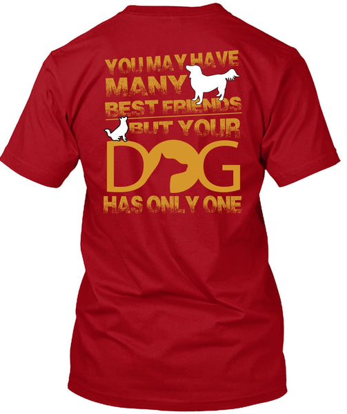 Your Dog Has Only One T Shirt, You May Have Many Best Friend T Shirt