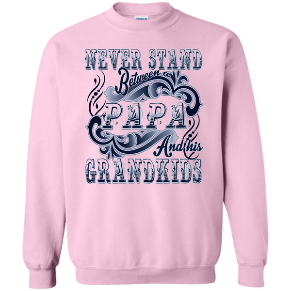 Coolest Papa T Shirt, Never Stand Between Sweatshirt