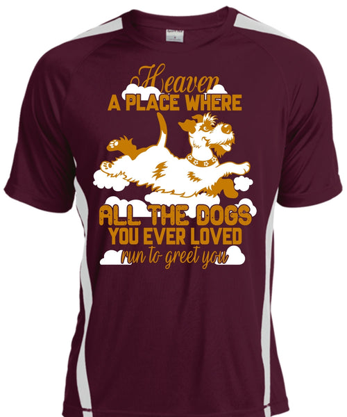 Heaven A Place Where All The Dogs T Shirt, Run To Greet You T Shirt, Cool Shirt
