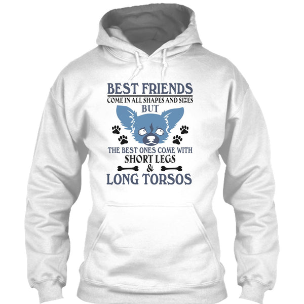 Best Friends Come In All Shapes And Size T Shirt, Coolest Dog T Shirt