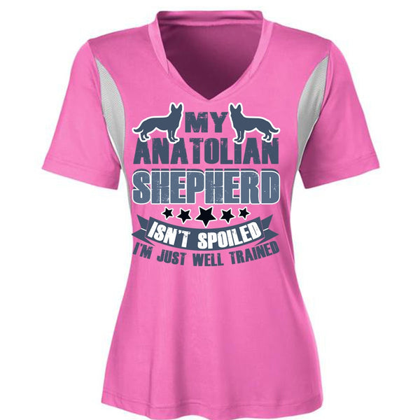 My Anatolian Shepherd Isn't Spoiled T Shirt, I Love My Dog T Shirt, Awesome T-Shirts