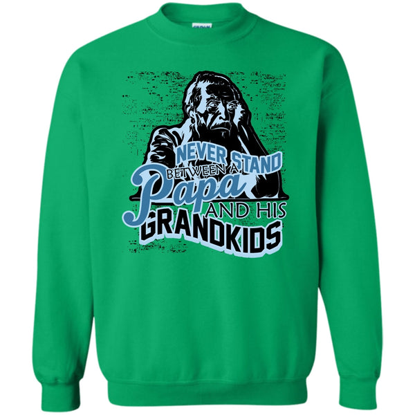 Gift For Papa T Shirt, Never Stand Between Sweatshirt