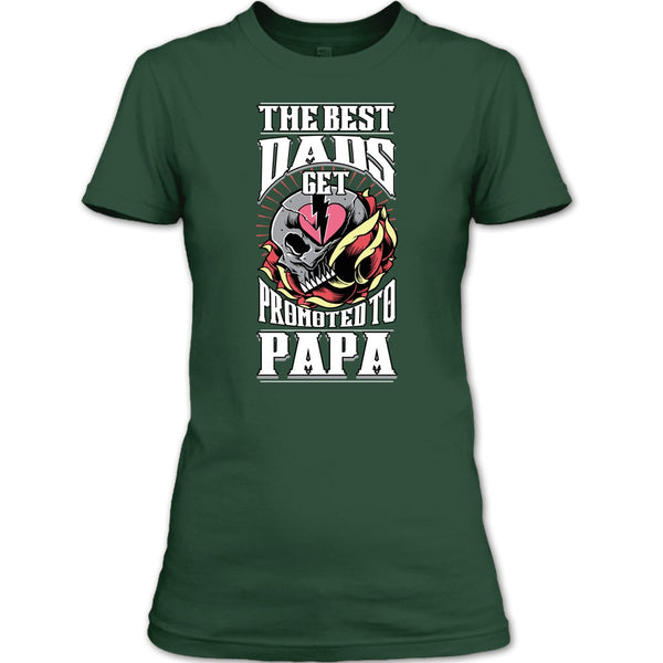 The Best Dad T Shirt, Get Promoted To Papa T Shirt