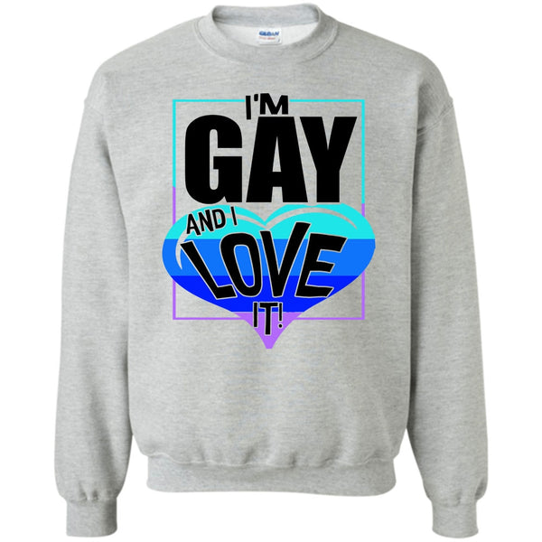 Gift For Gay T Shirt, I'm Gay And I Love It Sweatshirt