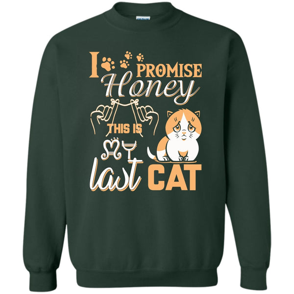 This Is My Last Cat T Shirt, Coolest Cat Lover Sweatshirt