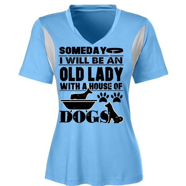 I Will Be An Old Lady T Shirt, I Love My Dog T Shirt, Awesome T-Shirts