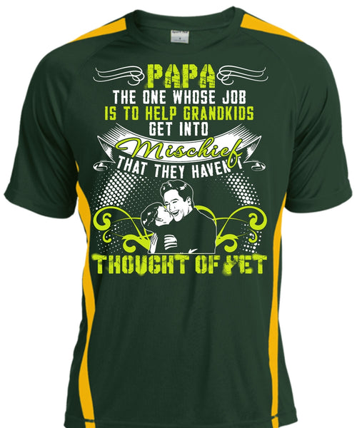 Papa The One T Shirt, Help Grandkids T Shirt, Cool Shirt