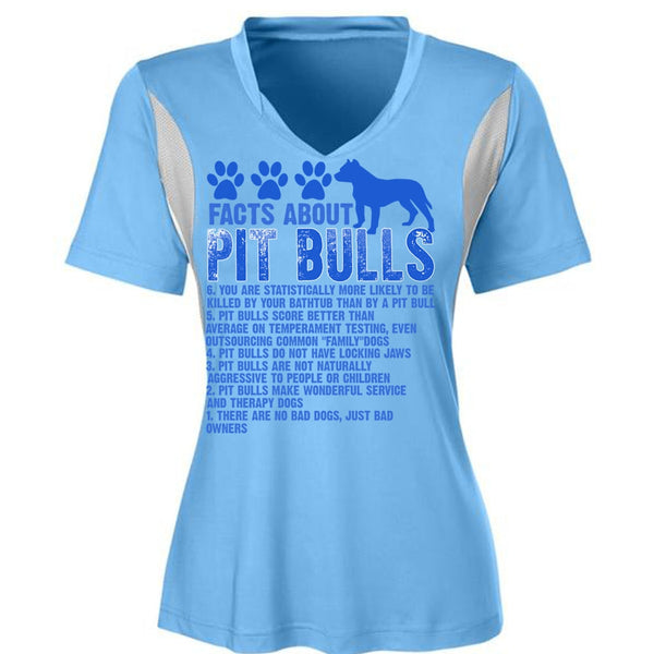 Facts About Pit Bulls T Shirt, There Are No Bad Dogs T Shirt
