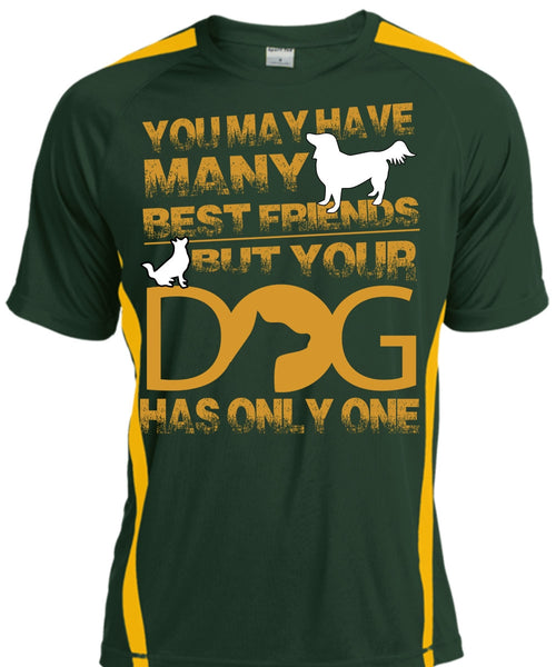 Your Dog Has Only One T Shirt, You May Have Many Best Friend T Shirt, Cool Shirt