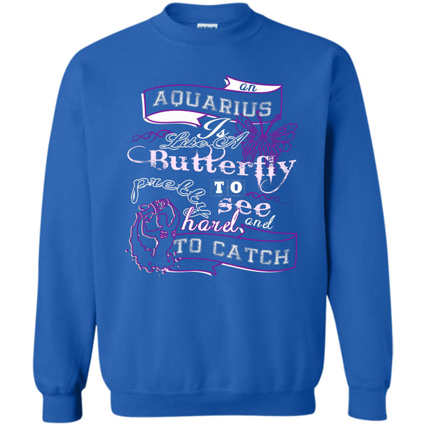 Pretty To See Hard And To Catch T Shirt, I'm A Coolest Aquarius Sweatshirt