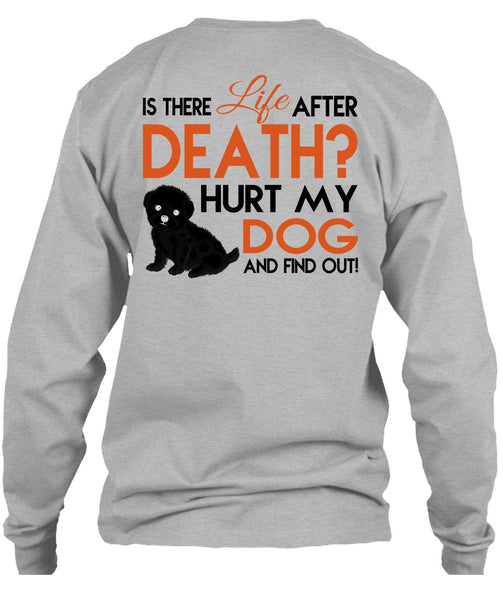 Hurt My Dog And Find Out T Shirt, Favorite T Shirt
