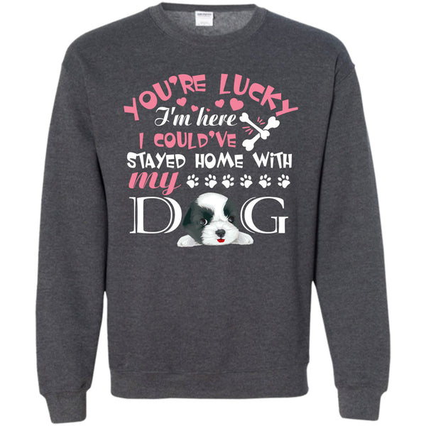 I Could've Stayed Home With My Dog T Shirt, I'm A Dog Lover Sweatshirt