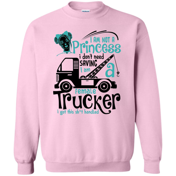 Coolest Trucker T Shirt, I'm Not A Princess Sweatshirt