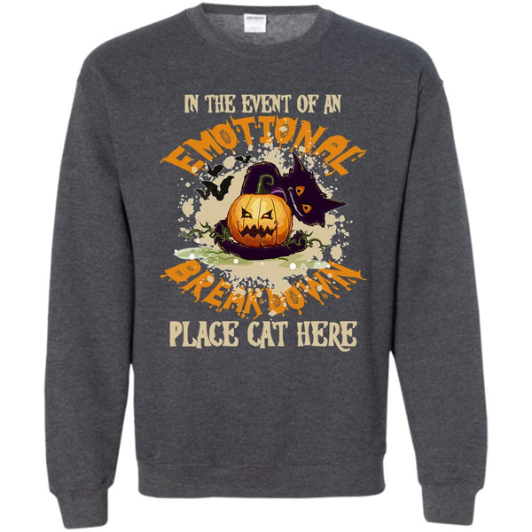 Place Cat Here T Shirt, Coolest Cat Ever Sweatshirt