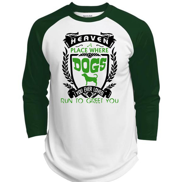 Heaven A Place Where Dogs T Shirt, You Ever Loved Run To Greet You T Shirt, Pets T Shirt  (Polyester Game Baseball Jersey)
