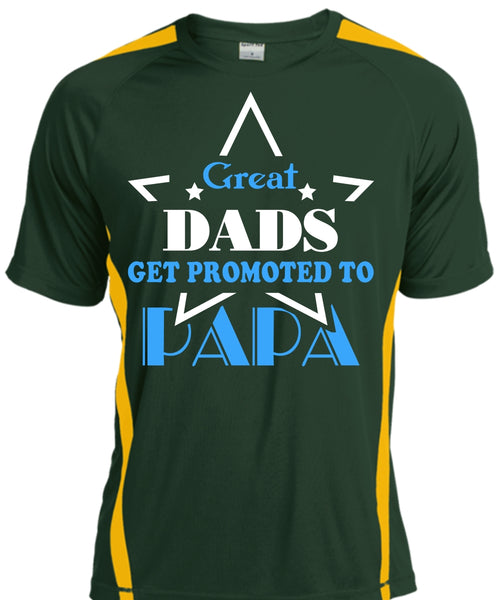 Great Dads Get Promoted To Papa T Shirt, Father's Day T Shirt