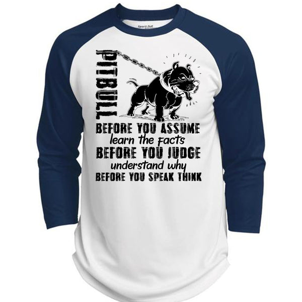 Pit Bull Before You Assume T Shirt, I Love Pit Bull T Shirt, Awesome T-Shirts  (Polyester Game Baseball Jersey)