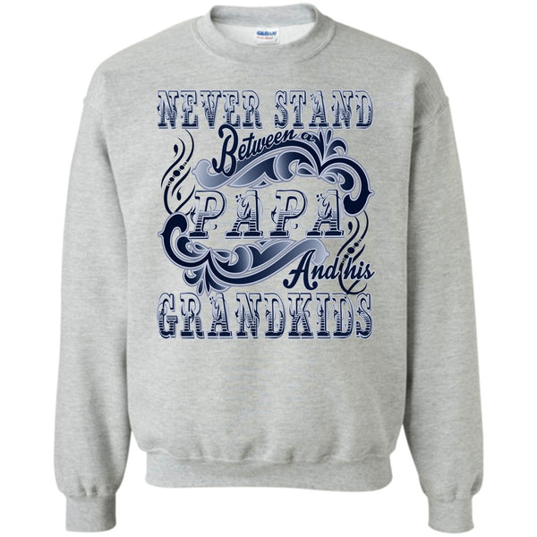 Coolest Papa T Shirt, Never Stand Between Sweatshirt