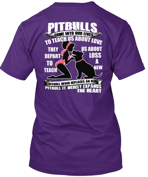 Pit Bulls Come Into Our Lives T Shirt, My Favorite T Shirt
