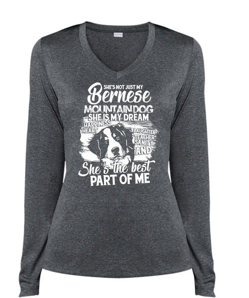 My Bernese Mountain Dog T Shirt, She Is My Dream T Shirt, Cool Shirt (Ladies LS Heather V-Neck)