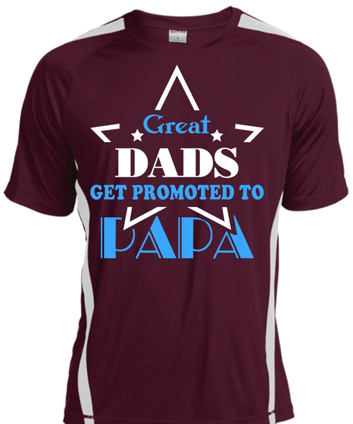 Great Dads Get Promoted To Papa T Shirt, Father's Day T Shirt
