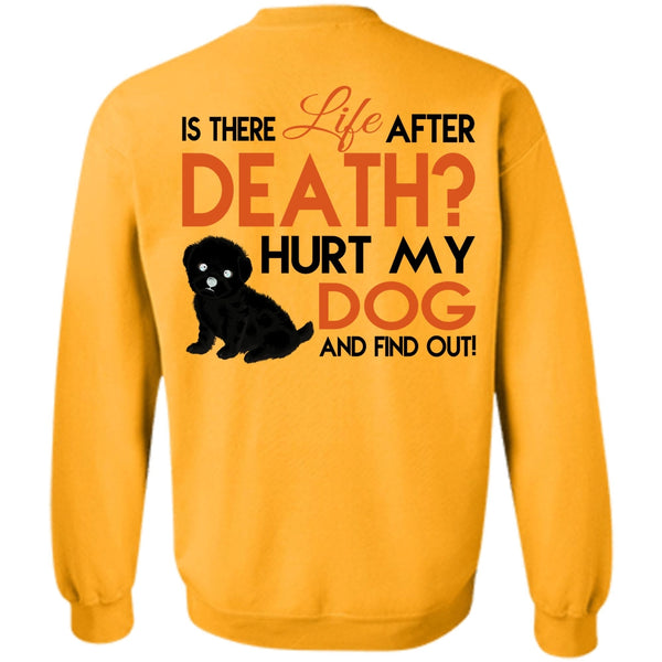 Favorite T Shirt, Hurt My Dog And Find Out Sweatshirt