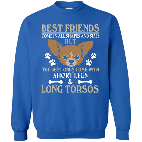 The Best One Come With Short Legs & Long Torsos T Shirt, Coolest Dog Sweatshirt