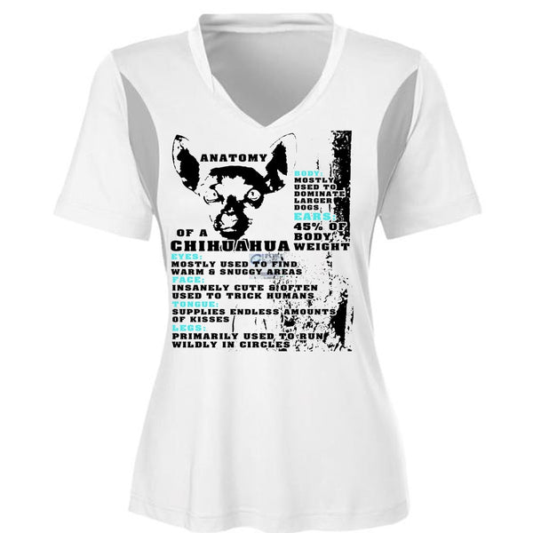 Anatomy Of A Chihuahua T Shirt, I Love My Dog T Shirt, Favorite T Shirt