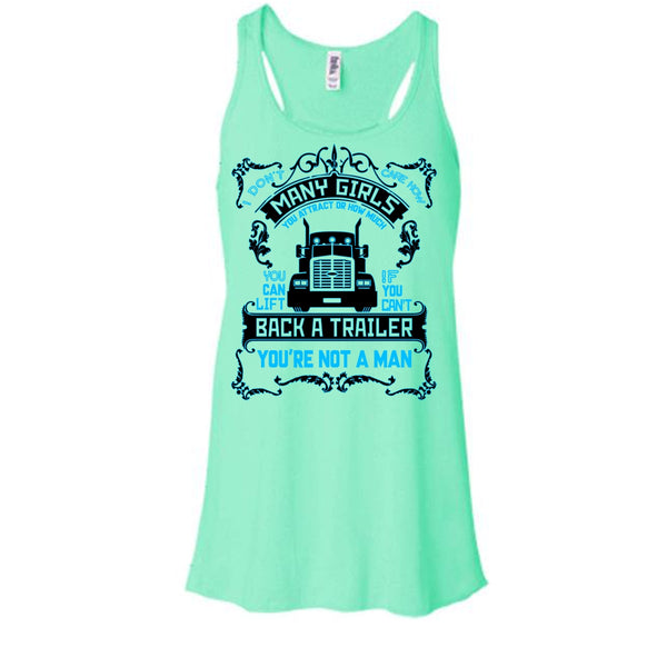 I Don't Care How Many Girls T Shirt, I Am A Truck Driver T Shirt, Awesome t-shirts