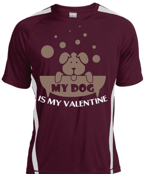 My Dog Is My Valentine T Shirt, My Favorite T Shirt, Cool Shirt