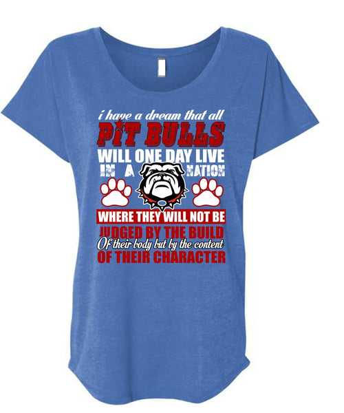 I Have A Dream That All Pit Bulls T Shirt, My Favorite T Shirt, Cool Shirt (Ladies' Triblend Dolman Sleeve)