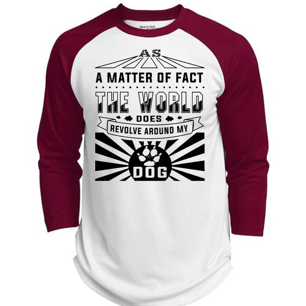 A Matter Of Fact The World Does Revolve Around My Dog T Shirt, Loving T Shirt  (Polyester Game Baseball Jersey)