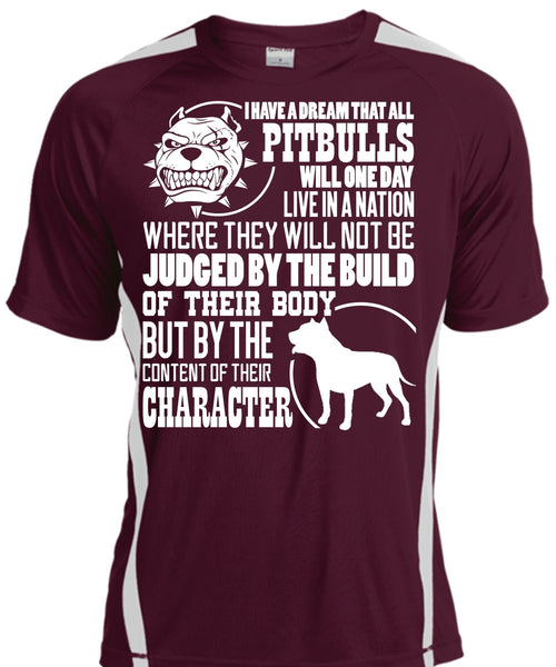 I Have A Dream That All Pit Bulls T Shirt, Judge By The Build T Shirt, Cool Shirt