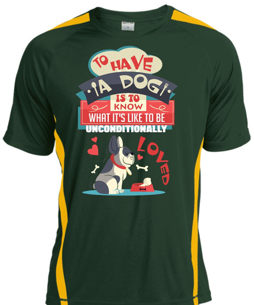 To Have A Dog Is To Know T Shirt, My Favorite T Shirt, Cool Shirt