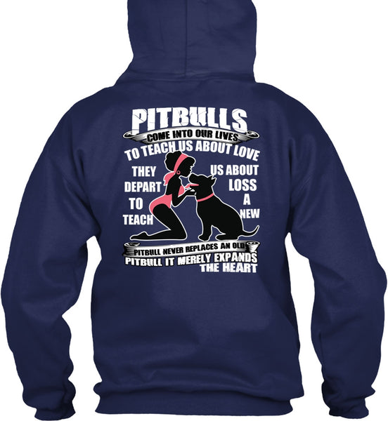 Pit Bulls Come Into Our Lives T Shirt, My Favorite T Shirt