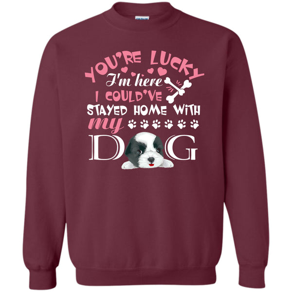 I Could've Stayed Home With My Dog T Shirt, I'm A Dog Lover Sweatshirt