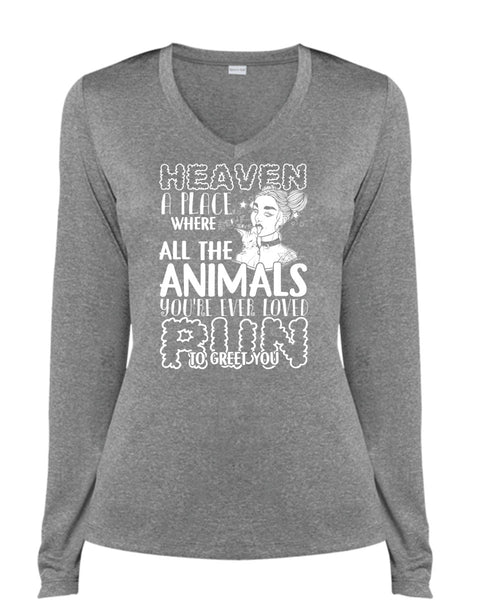 You're Ever Loved Run T Shirt, Heaven A Place T Shirt, Cool Shirt (Ladies LS Heather V-Neck)