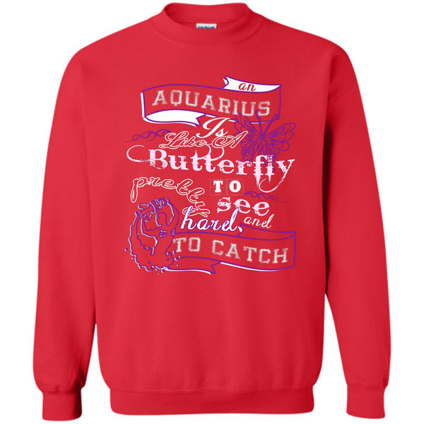 Pretty To See Hard And To Catch T Shirt, I'm A Coolest Aquarius Sweatshirt