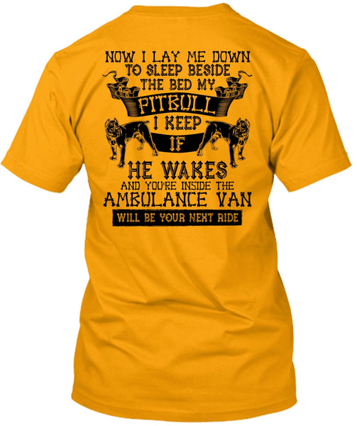 Sleep Beside The Bed My Pit Bull T Shirt, I Love My Dog T Shirt