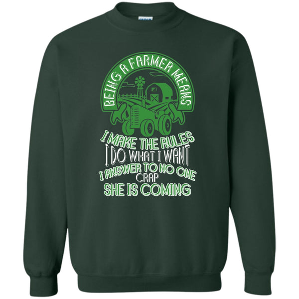 Mean I Make The Rules T Shirt, Gift For Farmer Sweatshirt