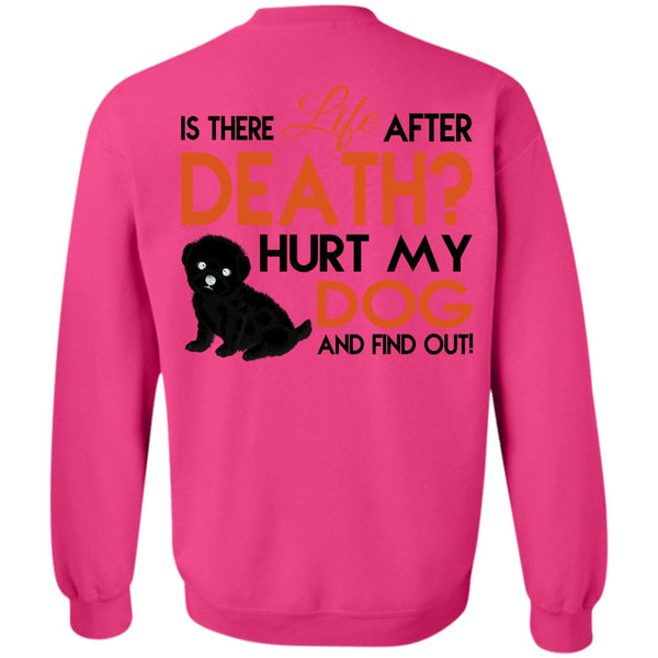 Favorite T Shirt, Hurt My Dog And Find Out Sweatshirt