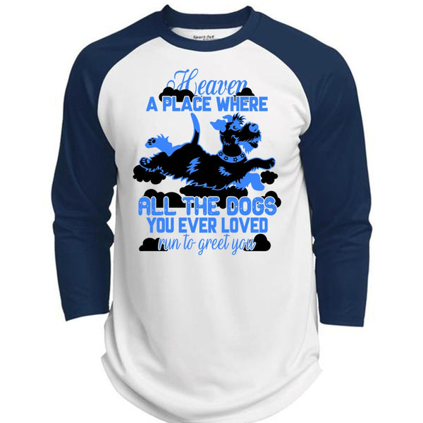 Heaven A Place Where All The Dogs T Shirt, I Love My Dog T Shirt, Awesome T-Shirts  (Polyester Game Baseball Jersey)