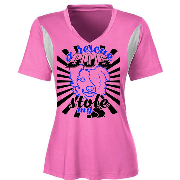 A Rescue Dog Stole My Heart T Shirt, My Life T Shirt, I Love Dog T Shirt