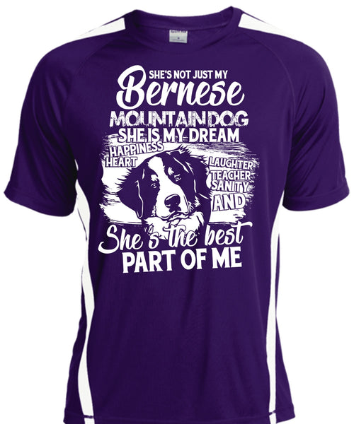 My Bernese Mountain Dog T Shirt, She Is My Dream T Shirt, Cool Shirt