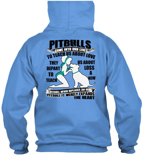 Pit Bulls Come Into Our Lives T Shirt, I Love Pit Bull T Shirt