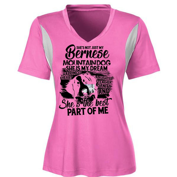 My Bernese Mountain Dog T Shirt, I Love Hiking T Shirt, Awesome T-Shirts