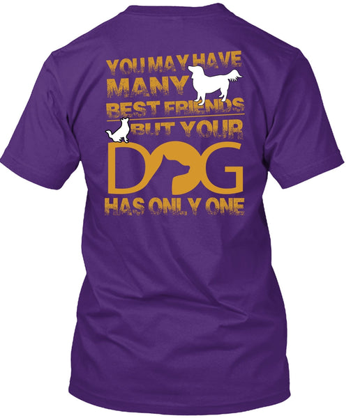 Your Dog Has Only One T Shirt, You May Have Many Best Friend T Shirt