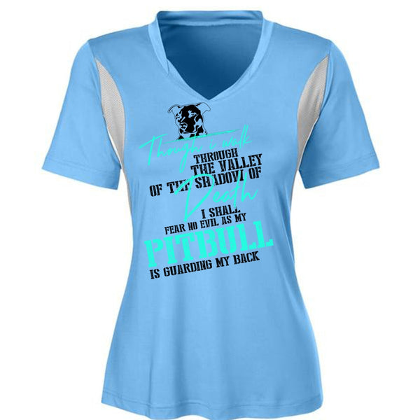 My Pit Bull Is Guarding My Back T Shirt, I Love Dog T Shirt, Awesome T-Shirts