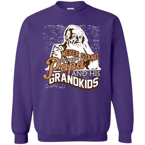A Papa And A His Grandkids T Shirt, Gift For Papa Sweatshirt