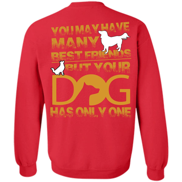 You May Have Many Best Friend T Shirt, I Love My Dog Sweatshirt